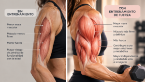 Mujer de mediana edad realizando entrenamiento de fuerza con mancuerna en un gimnasio.